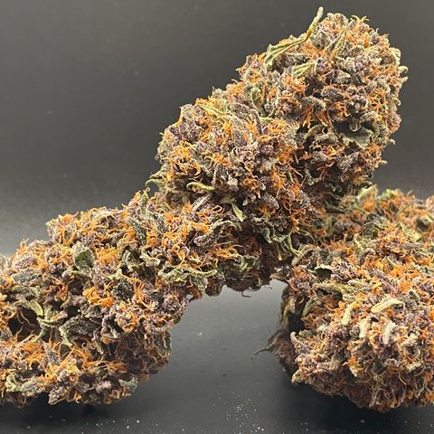 Purple Punch 🥊 2 - #1 - 42 Fast Buds growlog timeline photo