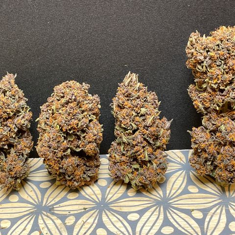 Purple Punch 🥊 2 - #1 - 42 Fast Buds growlog timeline photo