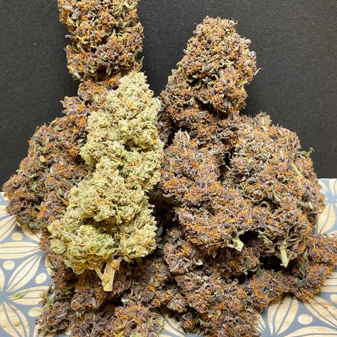 Purple Punch 🥊 2 - #1 - 42 Fast Buds growlog timeline photo