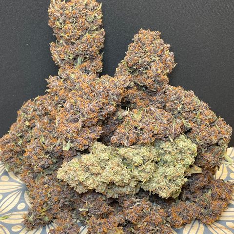 Purple Punch 🥊 2 - #1 - 42 Fast Buds growlog timeline photo