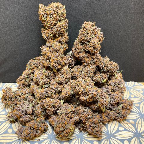 Purple Punch 🥊 2 - #1 - 42 Fast Buds growlog timeline photo