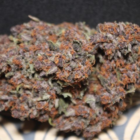Purple Punch 🥊 2 - #1 - 42 Fast Buds growlog timeline photo