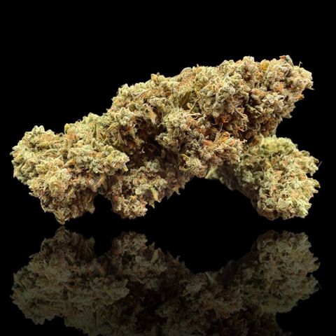 Mimosa Cake 🍰 3 - #1 - 42 Fast Buds growlog timeline photo