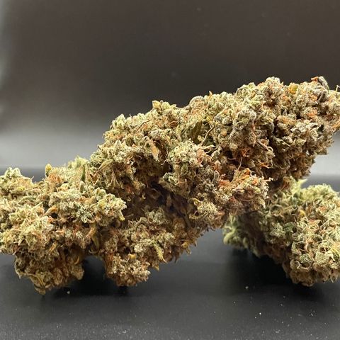 Mimosa Cake 🍰 3 - #1 - 42 Fast Buds growlog timeline photo