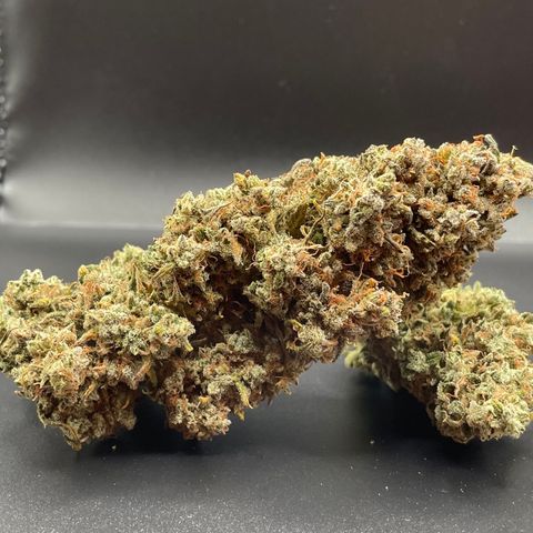 Mimosa Cake 🍰 3 - #1 - 42 Fast Buds growlog timeline photo