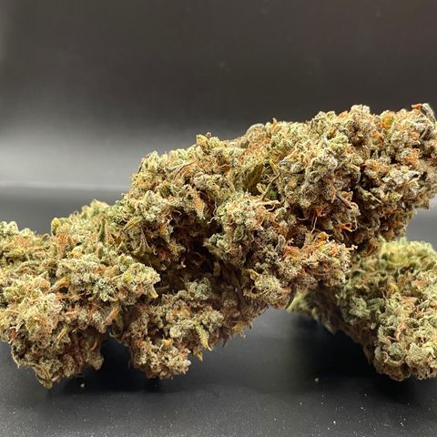 Mimosa Cake 🍰 3 - #1 - 42 Fast Buds growlog timeline photo