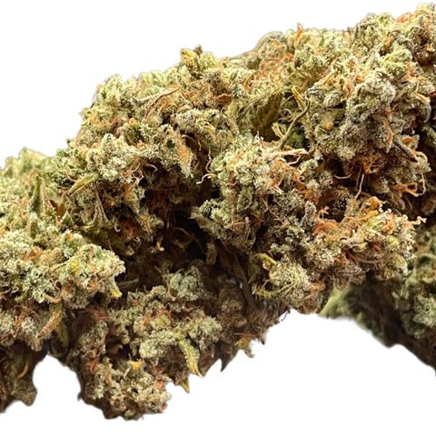 Mimosa Cake 🍰 3 - #1 - 42 Fast Buds growlog timeline photo