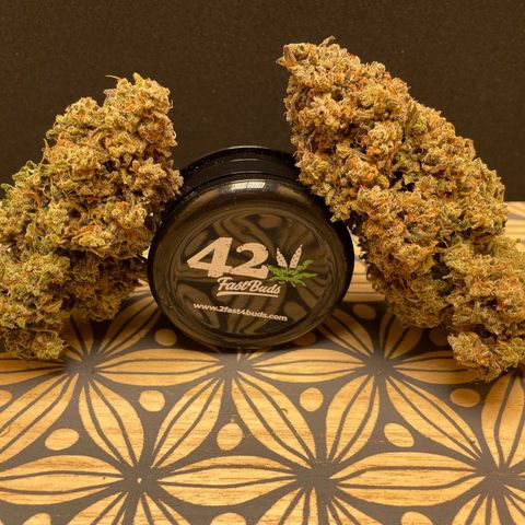 Mimosa Cake 🍰 3 - #1 - 42 Fast Buds growlog timeline photo