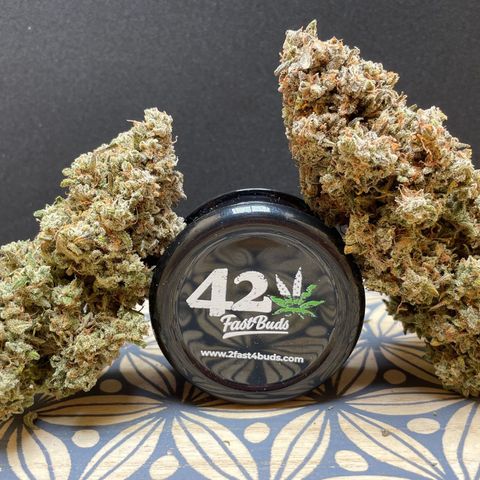 Mimosa Cake 🍰 3 - #1 - 42 Fast Buds growlog timeline photo