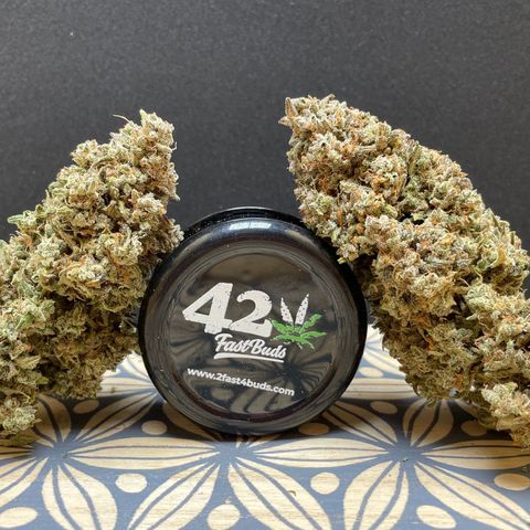 Mimosa Cake 🍰 3 - #1 - 42 Fast Buds growlog timeline photo