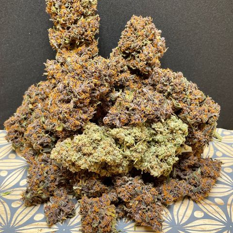 Mimosa Cake 🍰 3 - #1 - 42 Fast Buds growlog timeline photo