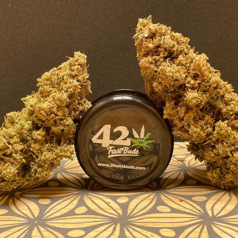 Mimosa Cake 🍰 3 - #1 - 42 Fast Buds growlog timeline photo