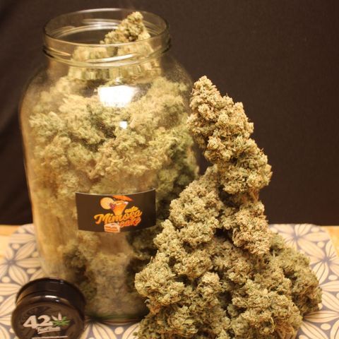Mimosa Cake 🍰 3 - #1 - 42 Fast Buds growlog timeline photo