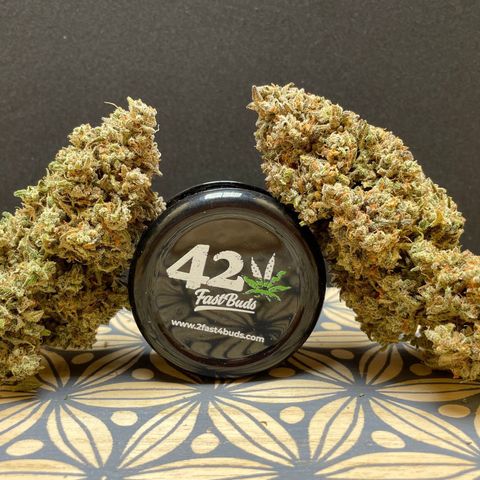 Mimosa Cake 🍰 3 - #1 - 42 Fast Buds growlog timeline photo