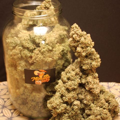 Mimosa Cake 🍰 3 - #1 - 42 Fast Buds growlog timeline photo