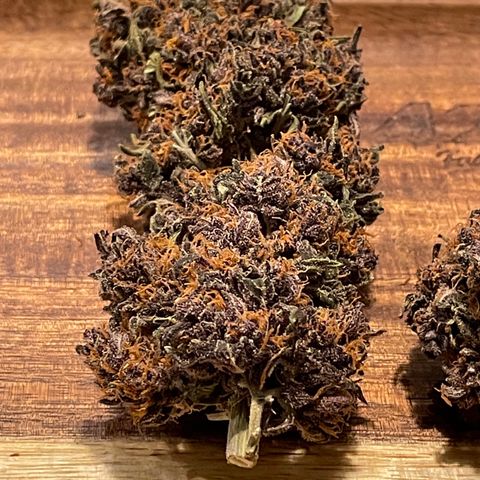 Purple Punch 🥊 2 - #1 - 42 Fast Buds growlog timeline photo
