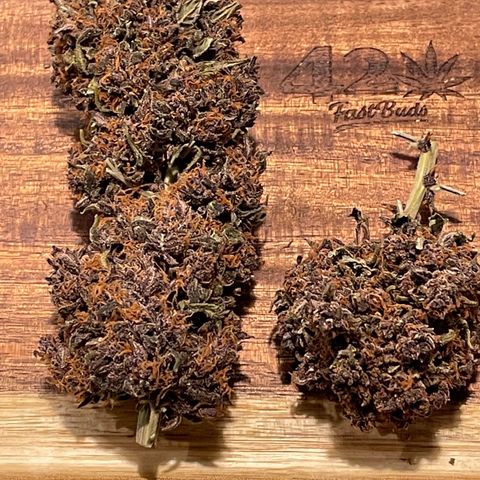 Purple Punch 🥊 2 - #1 - 42 Fast Buds growlog timeline photo
