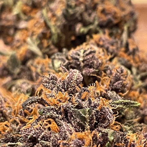 Purple Punch 🥊 2 - #1 - 42 Fast Buds growlog timeline photo