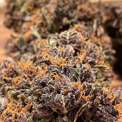 Purple Punch 🥊 2 - #1 - 42 Fast Buds growlog timeline photo