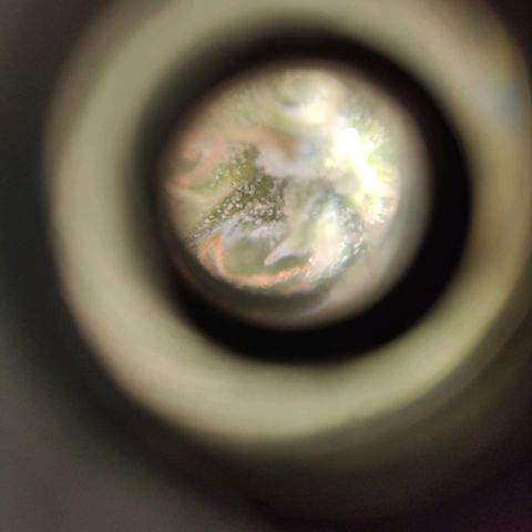 Auto Afghani growlog timeline photo