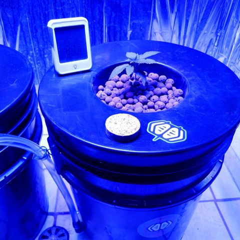 Wedding Crasher growlog timeline photo