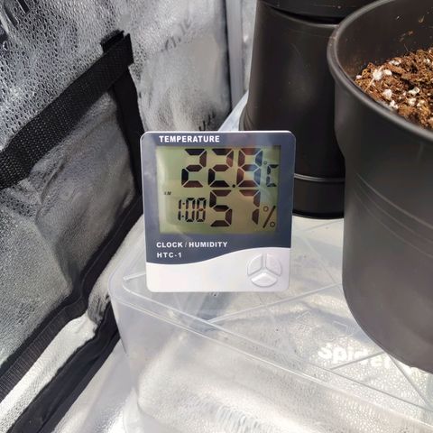 C-wa Haze growlog timeline photo