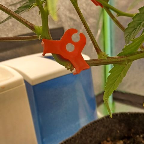PKR #1 growlog timeline photo