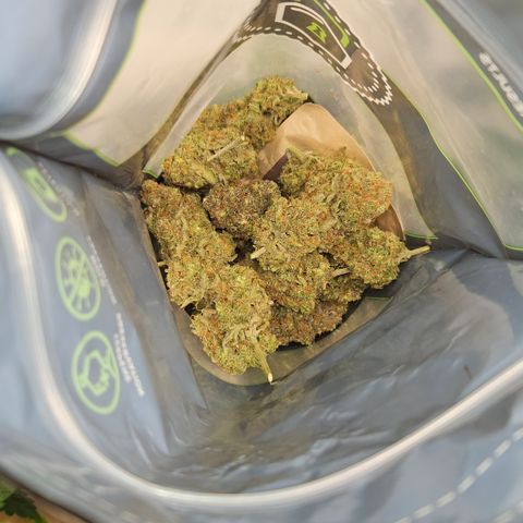 Northern Lights #2 growlog photo: Pictures of some Bud after curing for one month 🏆