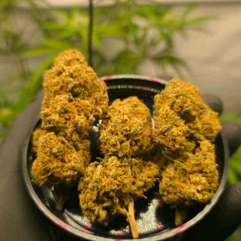 Purple Lemonade FF growlog timeline photo