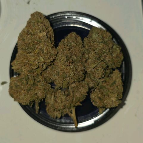 Purple Lemonade FF growlog timeline photo