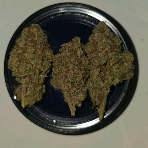 Purple Punch growlog timeline photo