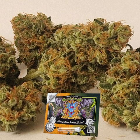 CG - El valle haze growlog timeline photo