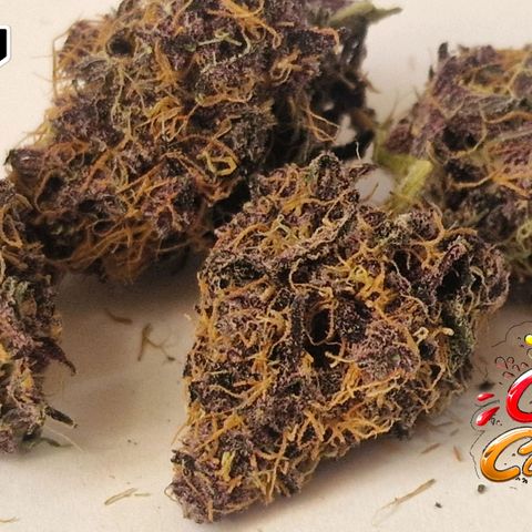 CG - El valle haze growlog timeline photo