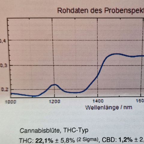 CG - El valle haze growlog timeline photo