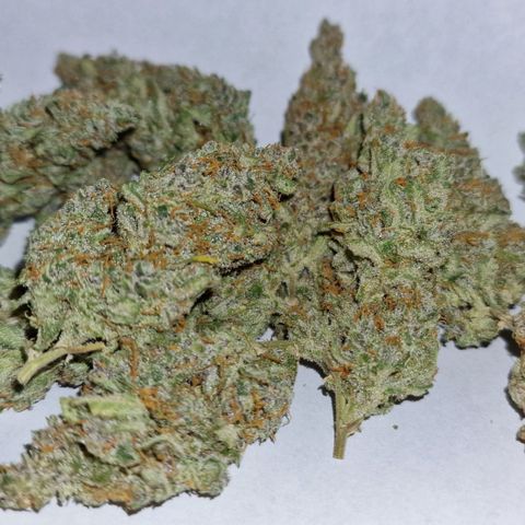 CG - El valle haze growlog timeline photo