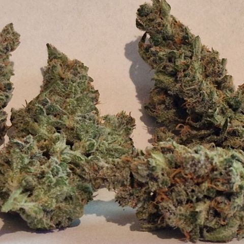 CG - El valle haze growlog timeline photo