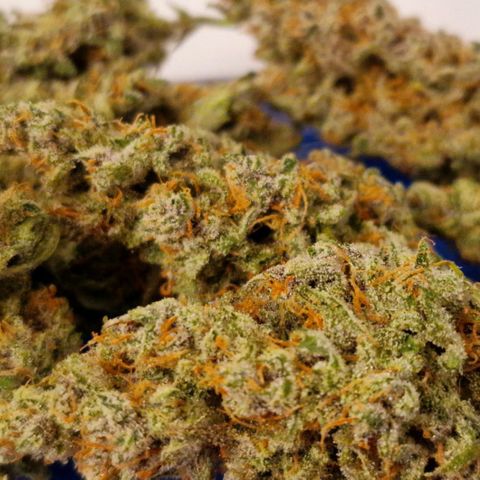 CG - El valle haze growlog timeline photo