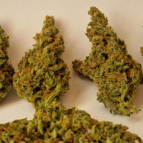CG - El valle haze growlog timeline photo