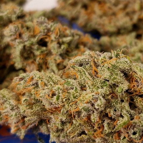 CG - El valle haze growlog timeline photo