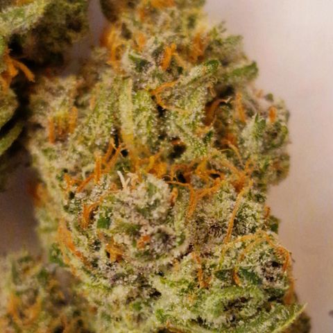 CG - El valle haze growlog timeline photo