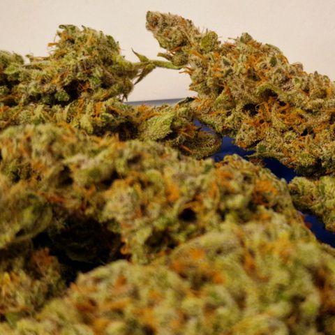 CG - El valle haze growlog timeline photo