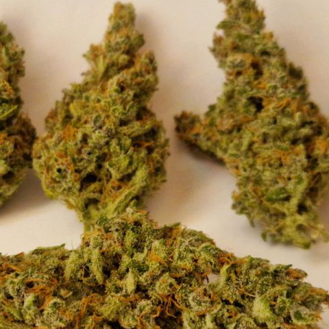 CG - El valle haze growlog timeline photo