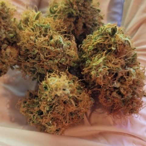 CG - El valle haze growlog timeline photo