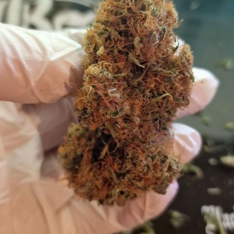 CG - El valle haze growlog timeline photo