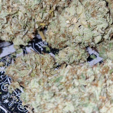 CG - El valle haze growlog timeline photo