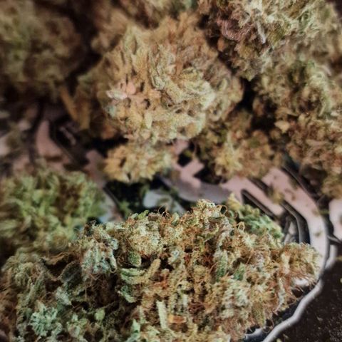 CG - El valle haze growlog timeline photo