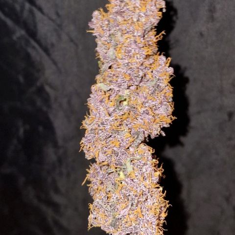 CG - El valle haze growlog timeline photo