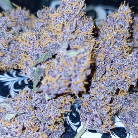 CG - El valle haze growlog timeline photo