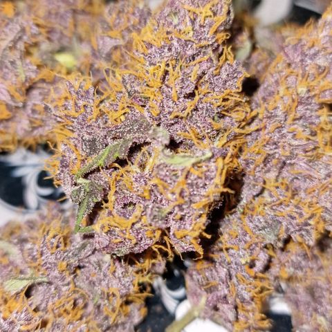 CG - El valle haze growlog timeline photo