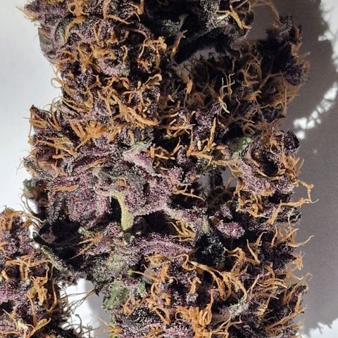 CG - El valle haze growlog timeline photo